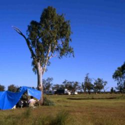 Drover’s base camp, outback Queensland